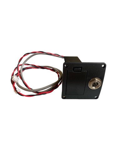 Battery box per chitarra acustica Sigma