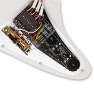 Battipenna pre-cablato DG20