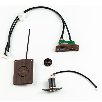 Kit elettronica Seagull M4