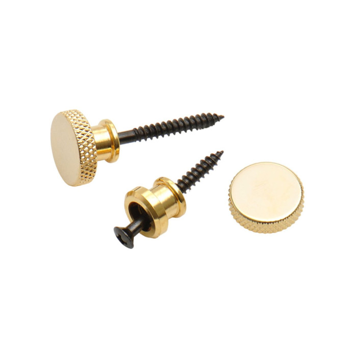 Multi Lock Strap Pin System Set Gold