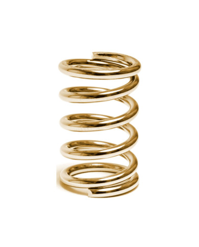 Spring Tremolo Units Gold