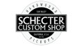 Schecter Pickups